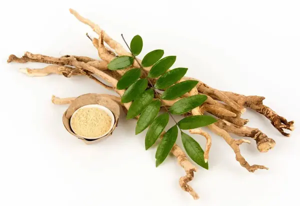 Экстракт корня эврикомы