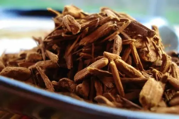 Экстракт йохимбе