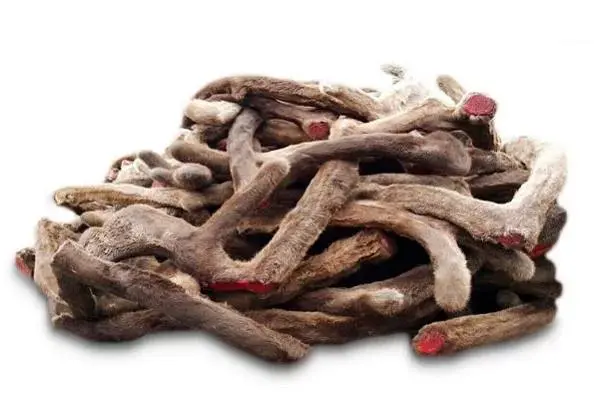 Экстракт пантов марала