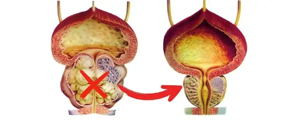 Золотой Олень